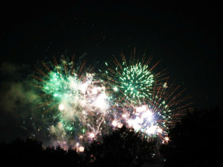 Foto 22775 im Album
