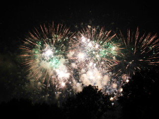 Foto 22784 im Album