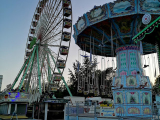 Foto 227964 im Album