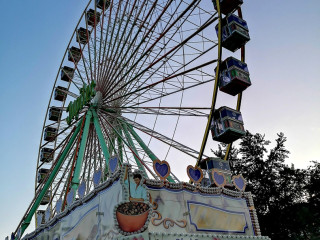 Foto 227971 im Album