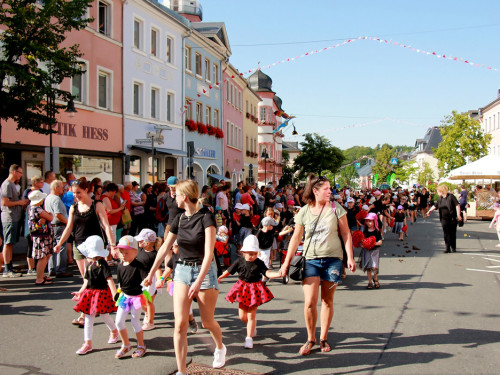 Volksfestumzug  Hofer Volksfest Tag 1 – Foto 3