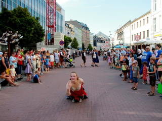 Foto 228916 im Album