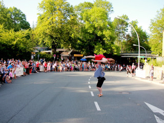 Foto 228982 im Album