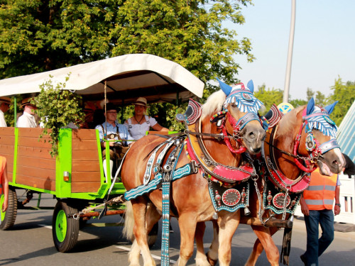 Volksfestumzug  Hofer Volksfest Tag 1 – Foto 60