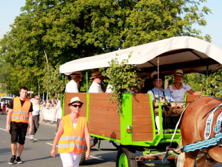 Foto 229055 im Album