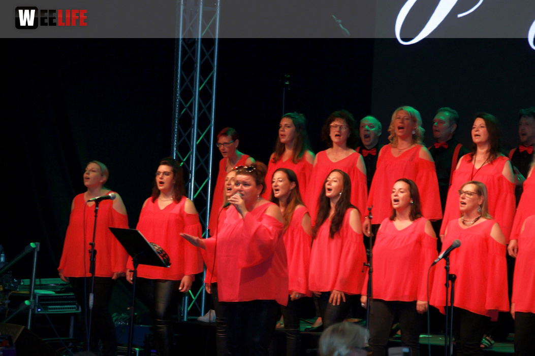 Gospelfrühschoppen mit Joy in Belief ProHof Hofer Volksfest 2019