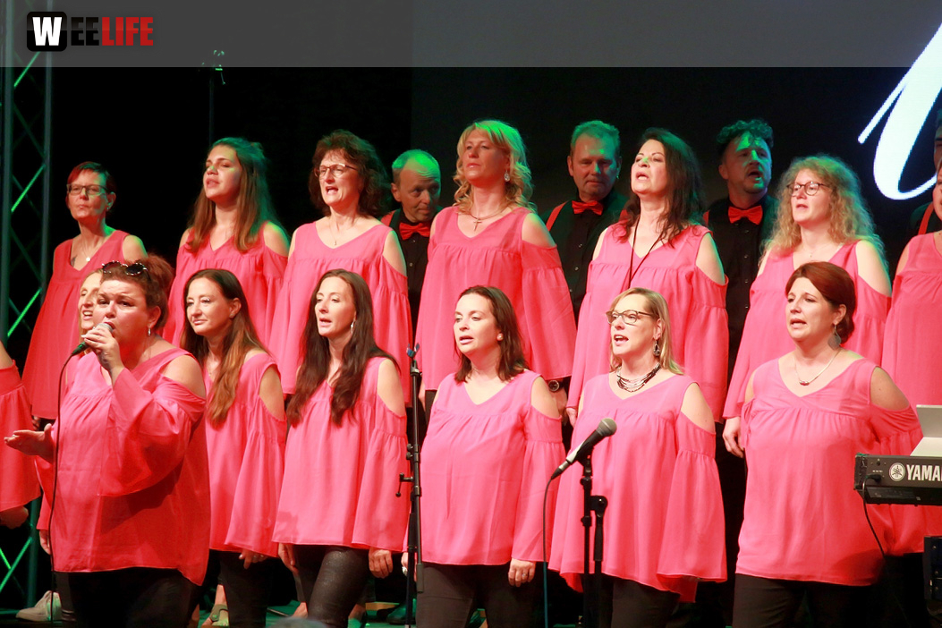 Gospelfrühschoppen mit Joy in Belief ProHof Hofer Volksfest 2019
