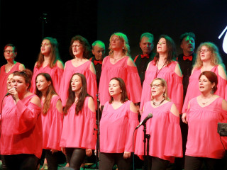Foto 229925 im Album