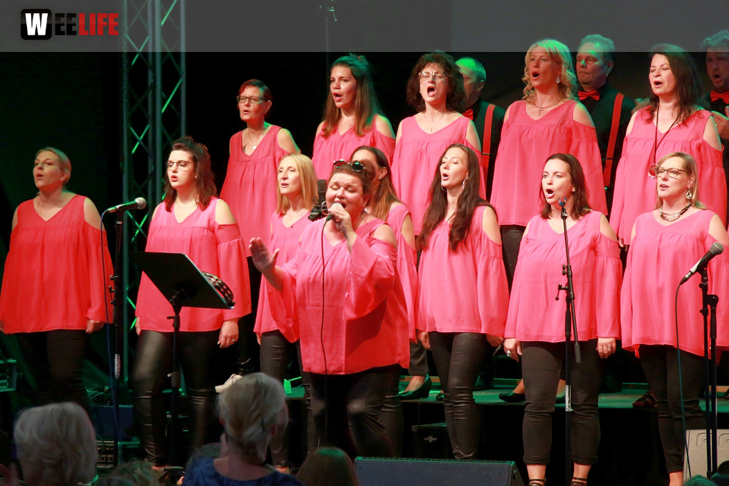 Gospelfrühschoppen mit Joy in Belief ProHof Hofer Volksfest 2019