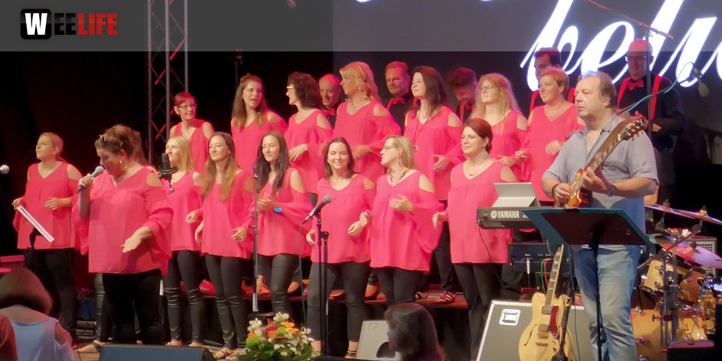 Gospelfrühschoppen mit Joy in Belief ProHof Hofer Volksfest 2019