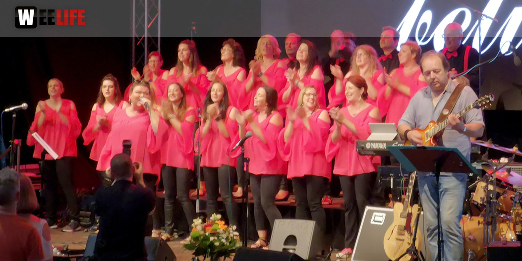 Gospelfrühschoppen mit Joy in Belief ProHof Hofer Volksfest 2019