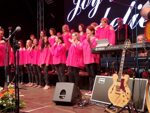 Gospelfrühschoppen mit Joy in Belief ProHof Hofer Volksfest 2019 – Foto 118