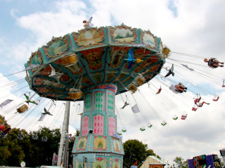 Foto 230002 im Album
