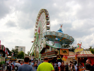 Foto 230009 im Album