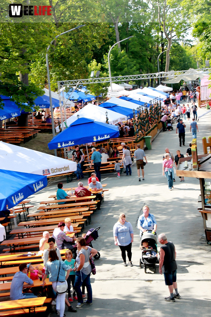Familiennachmittag Tag 6 Hofer Volksfest 2019
