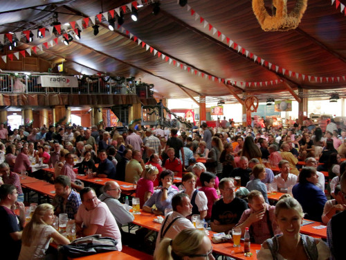 Troglauer Buam Euroherz Tag Tag 6 Hofer Volksfest 2019 – Foto 8