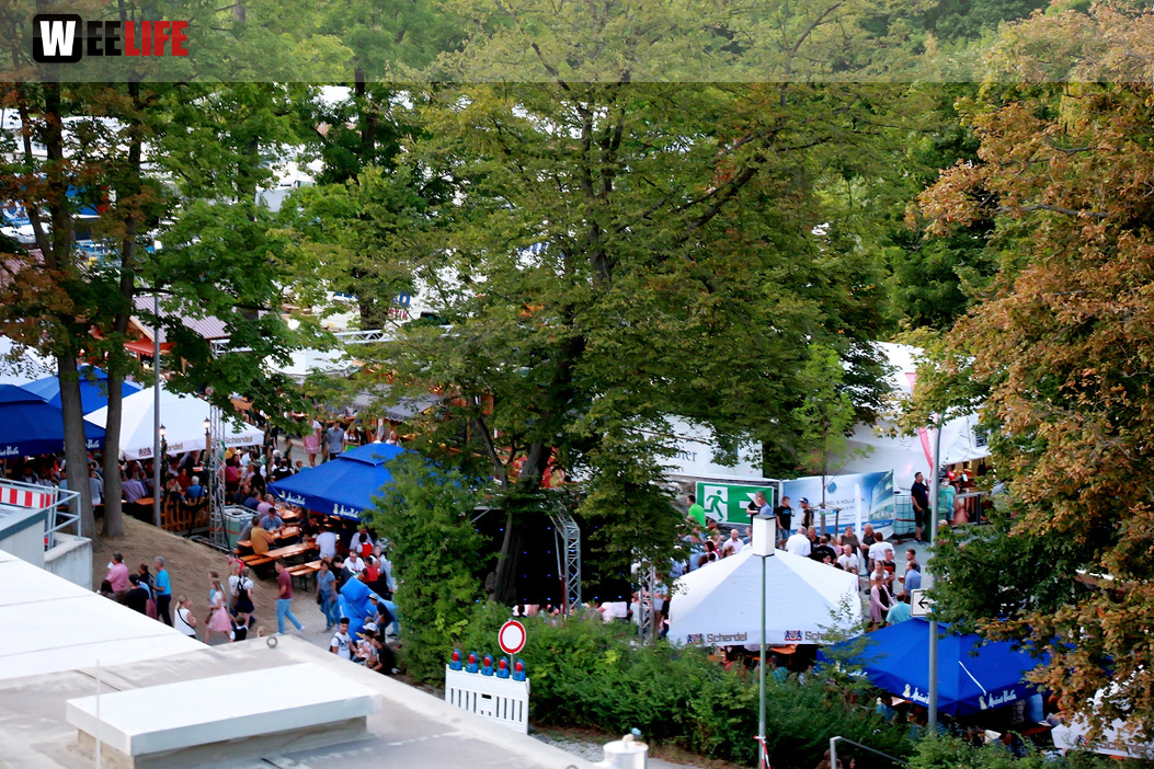 Nachmittag von Oben Hofer Volksfest Tag 7
