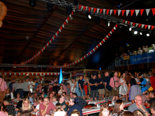 Surprise Tag der Betriebe Gealan Hofer Volksfest Tag 7 – Foto 55