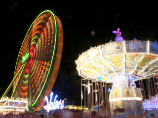 Foto 231372 im Album