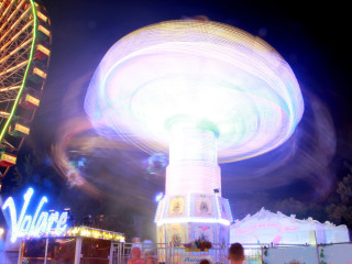 Foto 231377 im Album