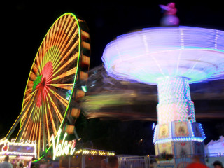 Foto 231385 im Album