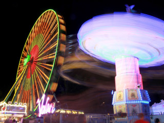 Foto 231388 im Album
