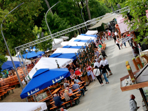 Nachmittag Hofer Volksfest Tag 8 2.8.2019 – Foto 8