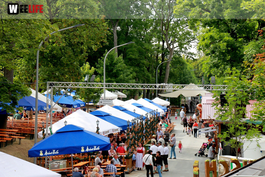 Nachmittag Hofer Volksfest Tag 8 2.8.2019