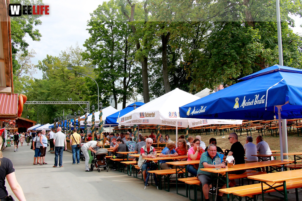 Nachmittag Hofer Volksfest Tag 8 2.8.2019
