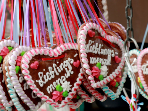 Nachmittag Hofer Volksfest Tag 8 2.8.2019 – Foto 44