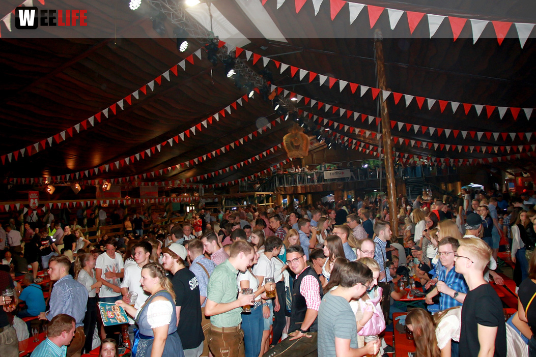 Die Partyvögel Hofer Volksfest Tag 8
