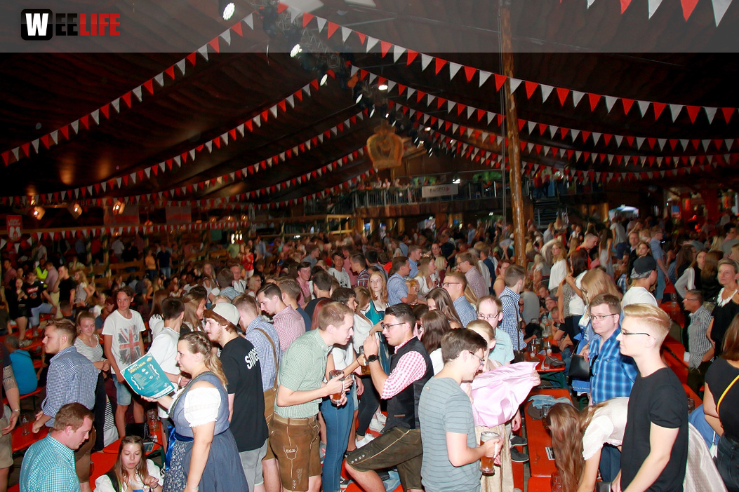 Die Partyvögel Hofer Volksfest Tag 8