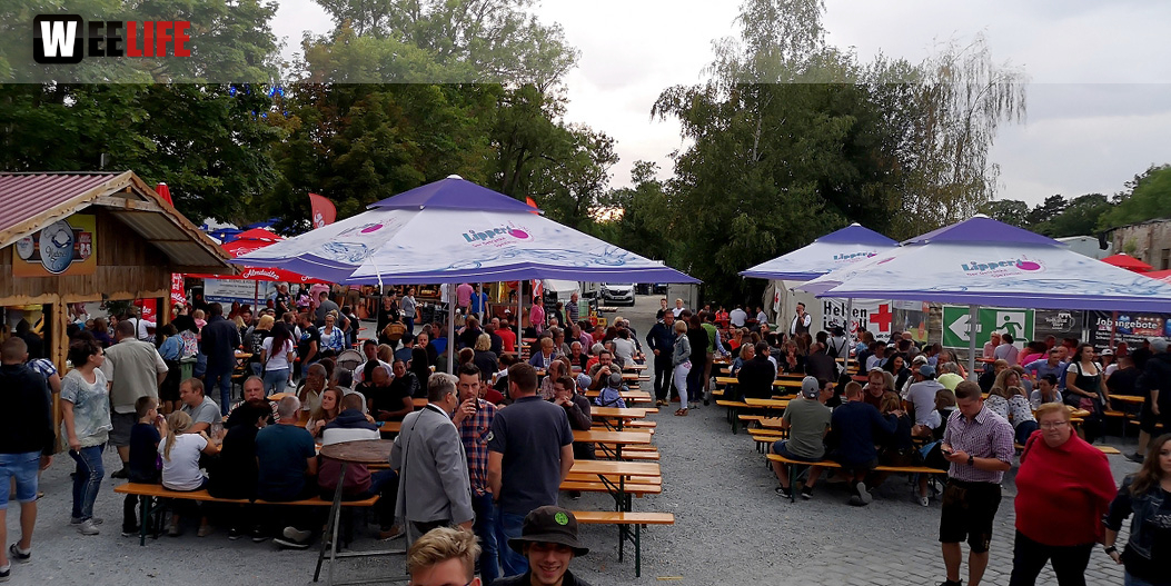 Die Partyvögel Hofer Volksfest Tag 8