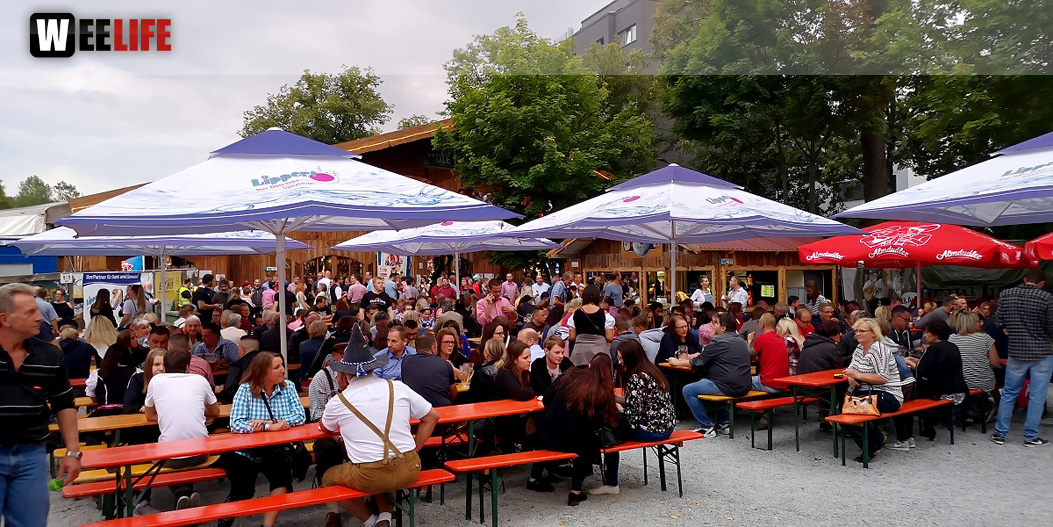 Die Partyvögel Hofer Volksfest Tag 8