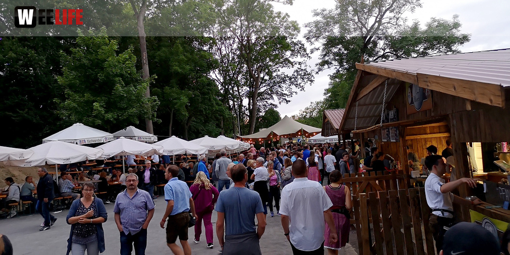 Die Partyvögel Hofer Volksfest Tag 8