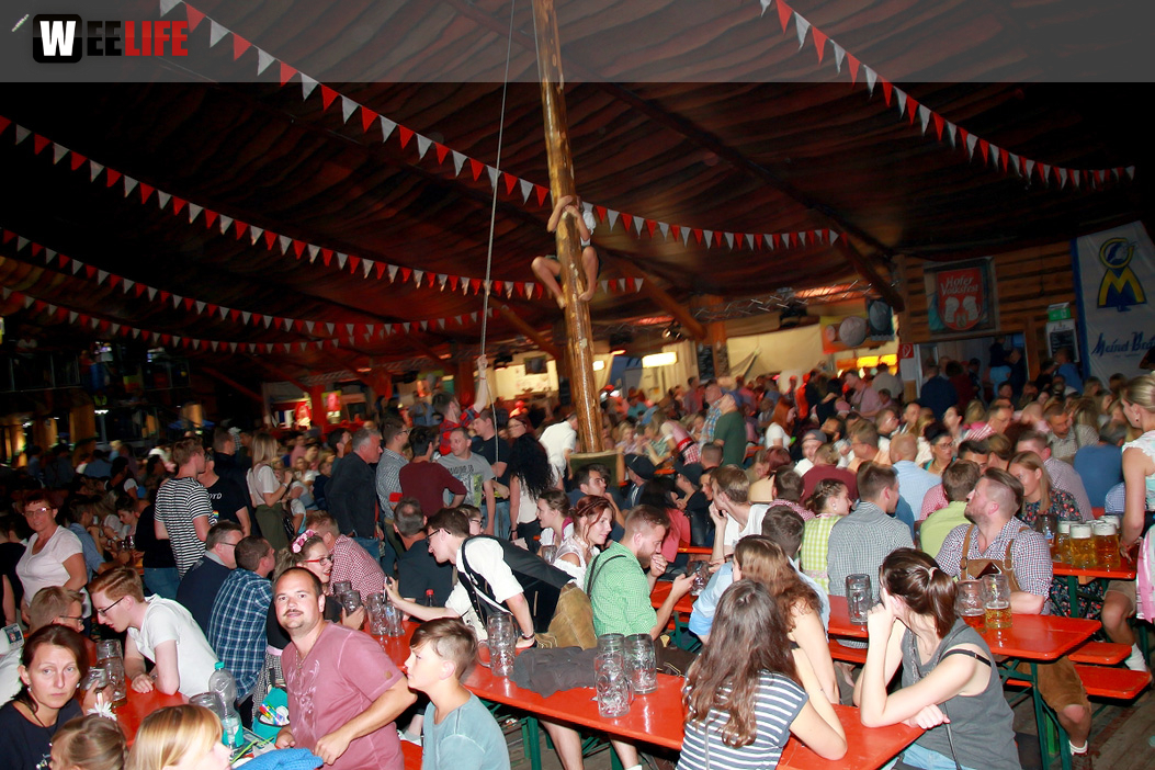 Aischzeit Lipperts Getränkevielfalt Tag 9 Hofer Volksfest Tag 9