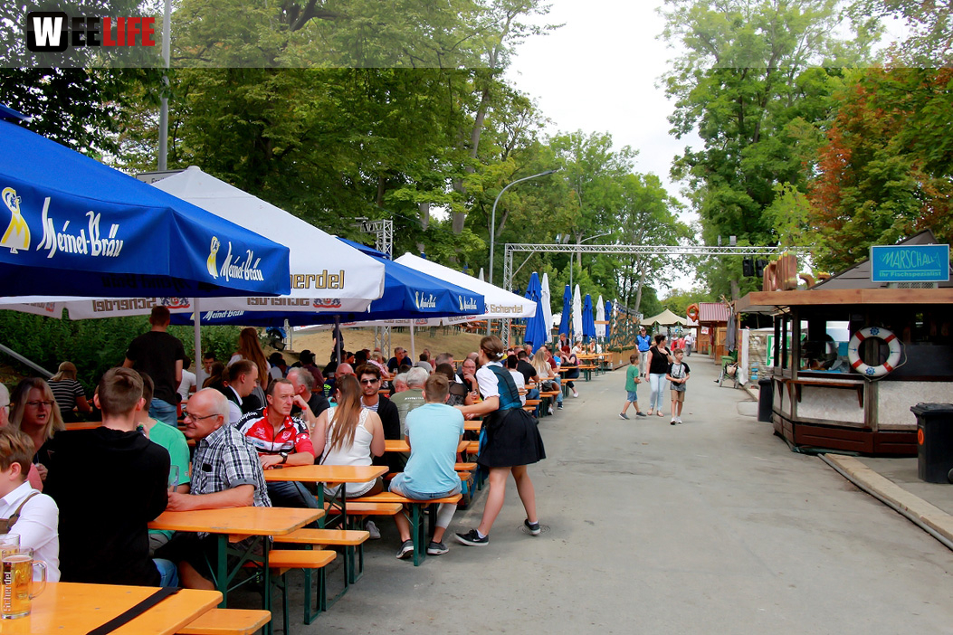 Frühshoppen Tag 10 Hofer Volksfest Hofer Volksfest 2019