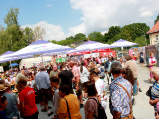 Foto 232282 im Album