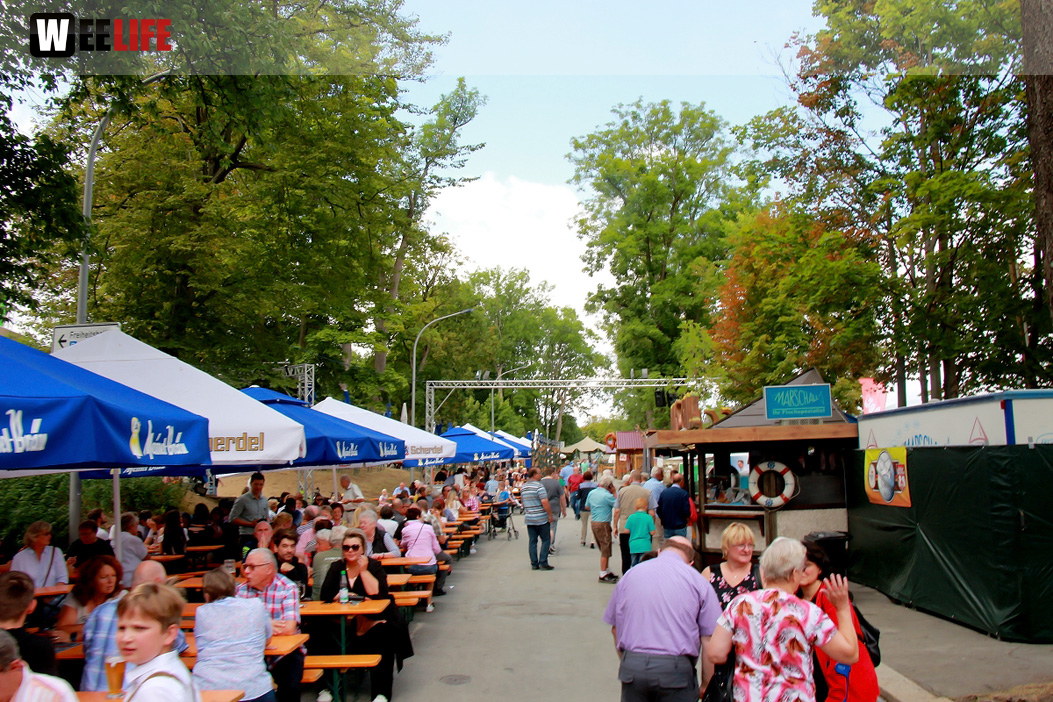 Frühshoppen Tag 10 Hofer Volksfest Hofer Volksfest 2019