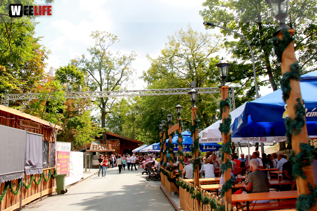 Frühshoppen Tag 10 Hofer Volksfest Hofer Volksfest 2019