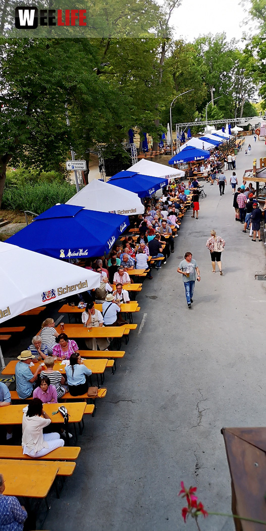 Nachmittag Tag 10 Hofer Volksfest Hofer Volksfest 2019