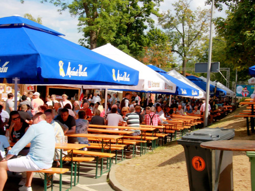 Nachmittag Tag 10 Hofer Volksfest Hofer Volksfest 2019 – Foto 36