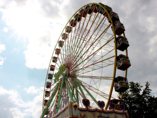 Foto 232338 im Album