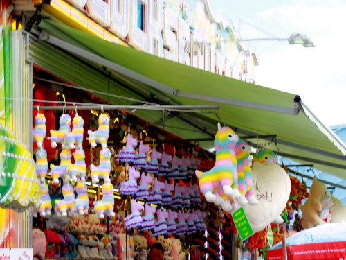 Nachmittag Tag 10 Hofer Volksfest Hofer Volksfest 2019 – Foto 51