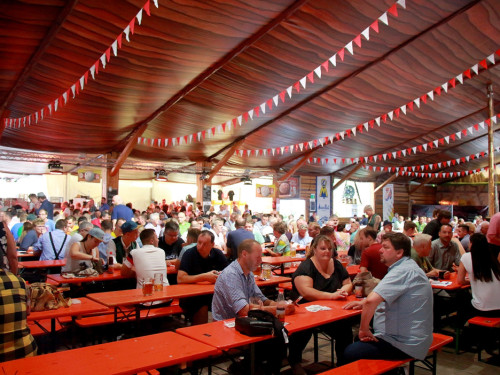 2. Oberfränkischen Muckmeisterschaft Tag 10 Hofer Volksfest 2019 – Foto 18