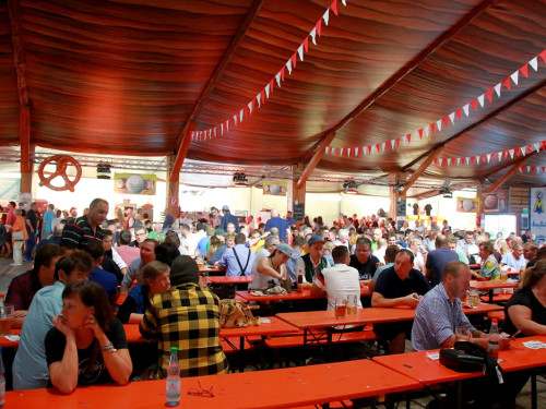 2. Oberfränkischen Muckmeisterschaft Tag 10 Hofer Volksfest 2019 – Foto 19