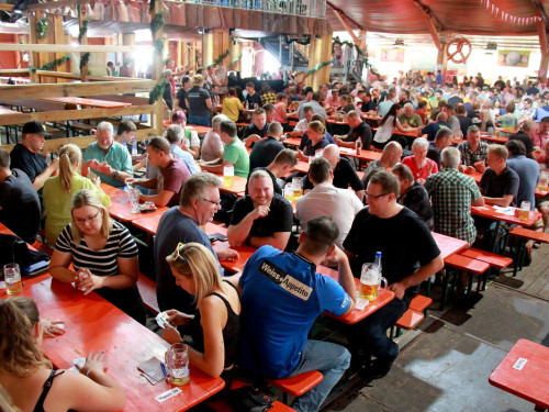 2. Oberfränkischen Muckmeisterschaft Tag 10 Hofer Volksfest 2019 – Foto 41