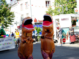 Foto 233033 im Album