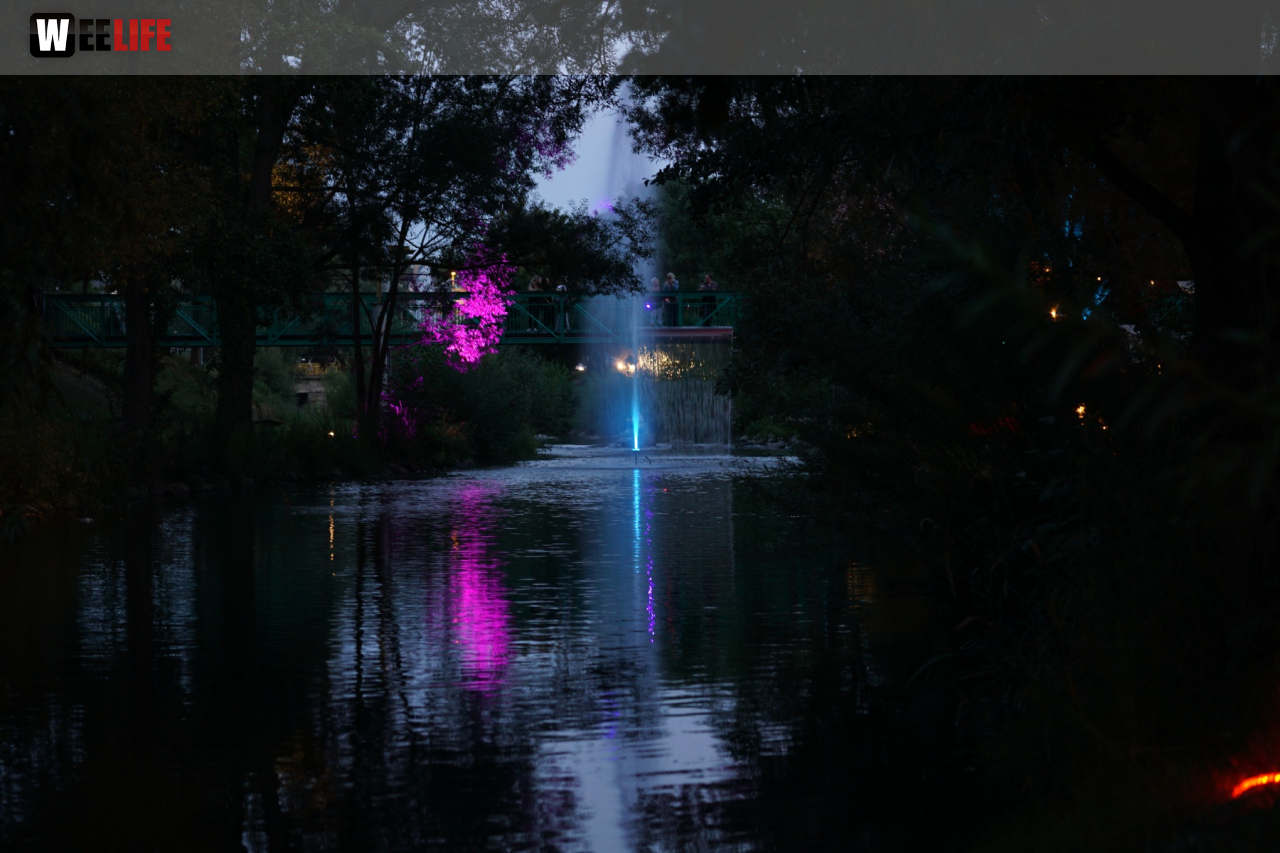 Saaleauenfest mit Memory Pain 2019