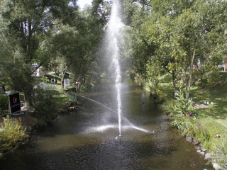 Foto 233409 im Album
